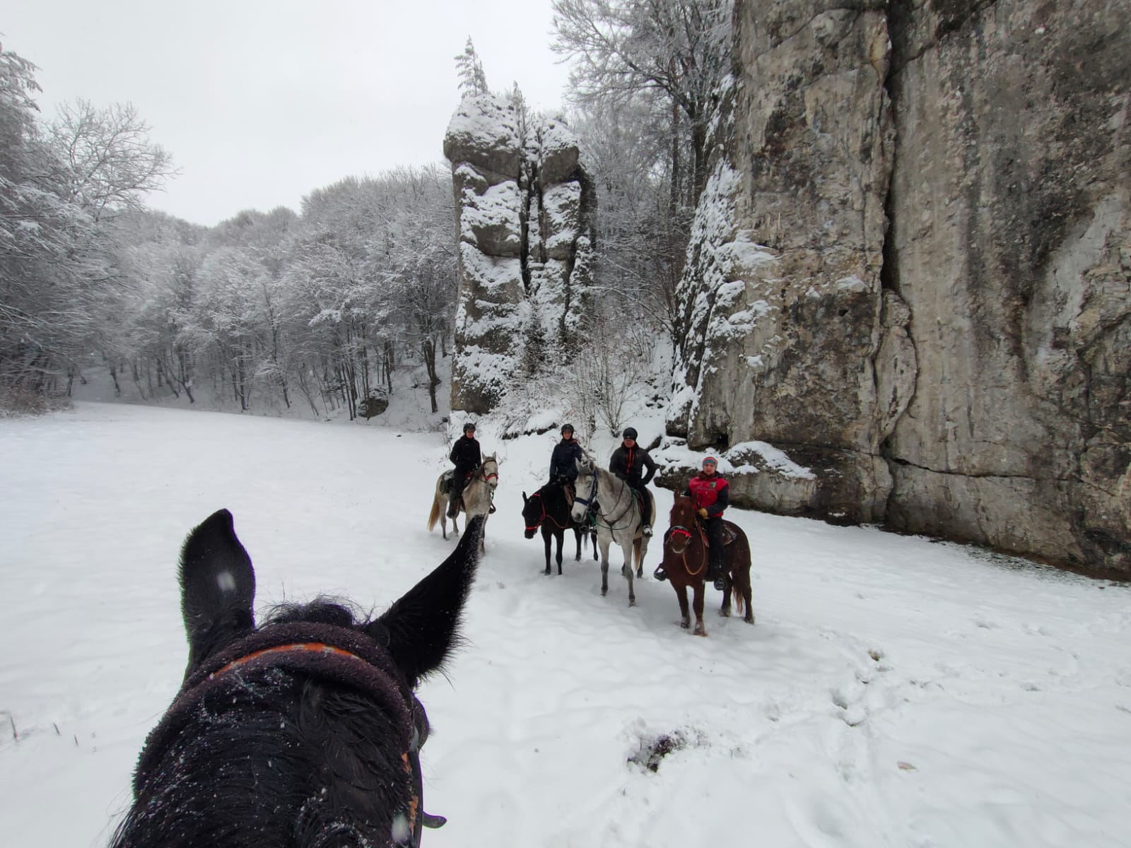 grupowe zdjecie jezdzcow i koni w zimie na tle wapiennych ostancow, na pierwszym tle uszy konia